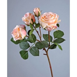 Роза Флорибунда ветвь светло розовая