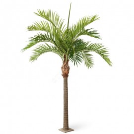 Финиковая пальма Гигантская 420 см