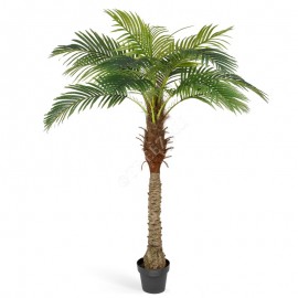 Финиковая пальма Новая 190 см