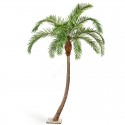Гигантская изогнутая Финиковая пальма 390 см