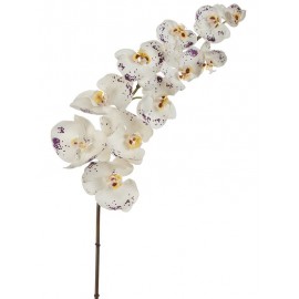 Орхидея Фаленопсис Super Real Touch цвет естественный белый с фиолетовыми крапинами