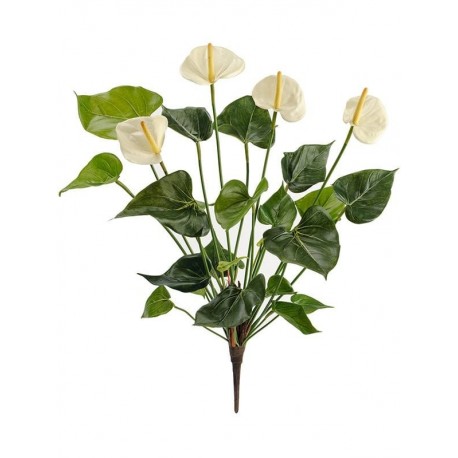 Антуриум куст де люкс кремовый 45 см 4 цветка