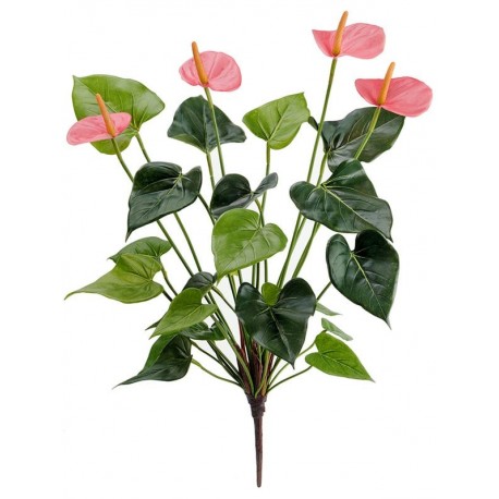 Антуриум куст де люкс нежно-розовый 45 см 4 цветка