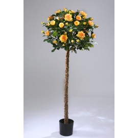 Роза шар штамбовая желтая с красным ободком 140 см
