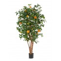 Апельсиновое дерево с плодами 180 см