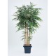 Бамбук Новый натуральный 210 см