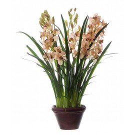 Орхидея Цимбидиум куст св.роз большой в кашпо 115 см