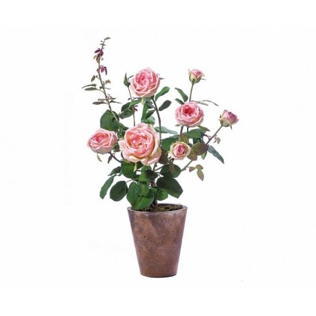 Роза куст нежно-розовый 58 см в высоком св.терракот.кашпо