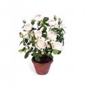Роза белая с нежно-розовым 40 см в кашпо
