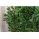 Олива Твист натуральная с плодами 120 см
