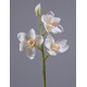 Орхидея Цимбидиум ветвь белая малая