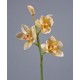 Орхидея Цимбидиум ветвь нежно-золотистая