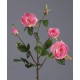 Роза Вайлд ветвь розовая