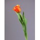 Тюльпан Даймонд оранжевый