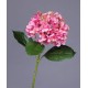 Гортензия Grande Fiore ярко-розовая