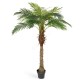 Финиковая пальма Новая 160 см
