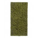 Мох Сфагнум Fuscum оливково-зелёный 50х100 см