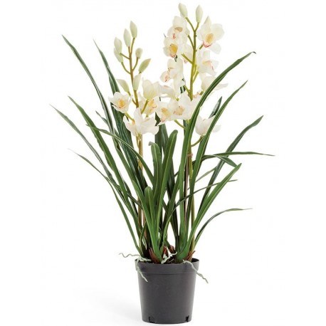 Орхидея Цимбидиум белая куст 100 см в кашпо 2 ветки