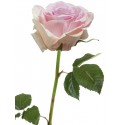 Роза Верди нежно-сиренево-розовая
