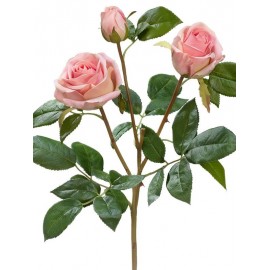 Роза Флорибунда Мидл ветвь нежно-розовая