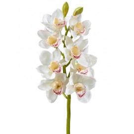 Орхидея Цимбидиум белая ветвь