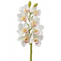 Орхидея Цимбидиум белая ветвь