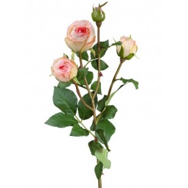 Роза Пале-Рояль ветвь нежно-розовая
