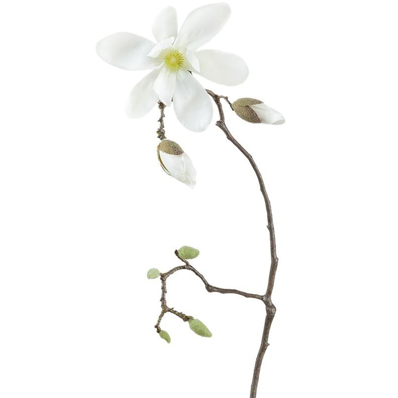 Искусственная ветка магнолии. Белые ветки цветущие искусственные. Цветы ветками название. Цветы на ветке как называются.