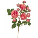 Роза Дэвид Остин ветка Спрей пастельно-розово-малиновая