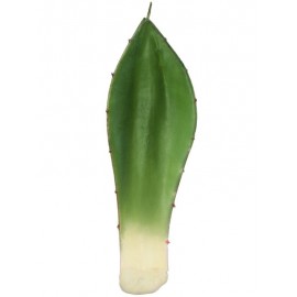 Лист Алоэ зеленый малая