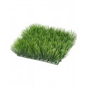 Газон-трава Высокая коврик 25х25 см