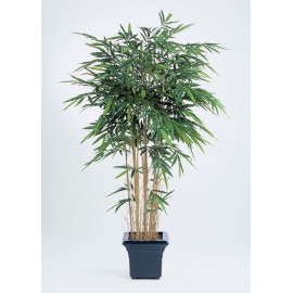 Бамбук Новый натуральный 210 см