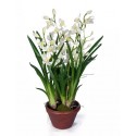 Орхидея Цимбидиум белая 100 см 4 ветки в кашпо